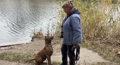 Підрив Курахівської греблі: чи загрожує підтоплення Дніпропетровщині Підрив Курахівської греблі: чи загрожує підтоплення Дніпропетровщині