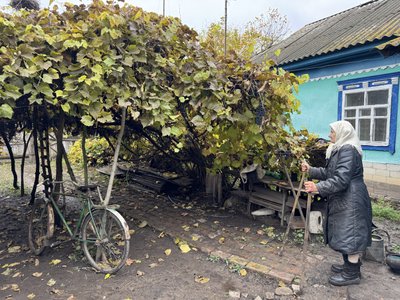"У своїй хаті вже доживу". Як живуть останні мешканці покинутого села на Сумщині "У своїй хаті вже доживу". Як живуть останні мешканці покинутого села на Сумщині