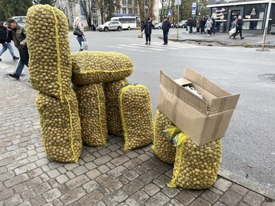 Неврожай горіхів на Полтавщині: скільки можна заробити на плодах Неврожай горіхів на Полтавщині: скільки можна заробити на плодах