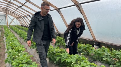 Врожай полуниці очікує кращим, а ціни на рівні минулорічних: прогноз фермера з Рівненщини Врожай полуниці очікує кращим, а ціни на рівні минулорічних: прогноз фермера з Рівненщини