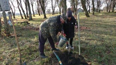 "Спільні зусилля принесуть багато плодів": як діти висаджували дерева на Рівненщині "Спільні зусилля принесуть багато плодів": як діти висаджували дерева на Рівненщині