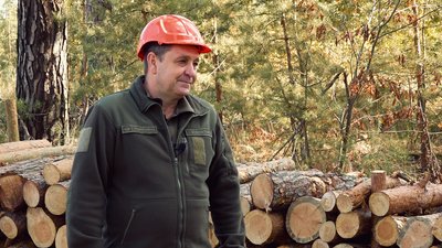 Від чого залежить ціна на деревину — роз'яснення черкаського лісівника Від чого залежить ціна на деревину — роз'яснення черкаського лісівника