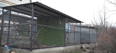 Шукала їжу, намагалась полювати. На Дніпропетровщині зооволонтерка прихистила самицю канюка степового Шукала їжу, намагалась полювати. На Дніпропетровщині зооволонтерка прихистила самицю канюка степового