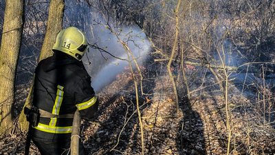 На Черкащині горів сухостій
