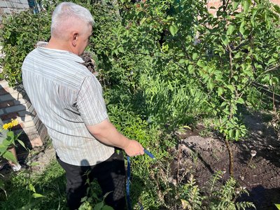 Неврожай через спеку: як на дачних масивах Луцька рятують городину