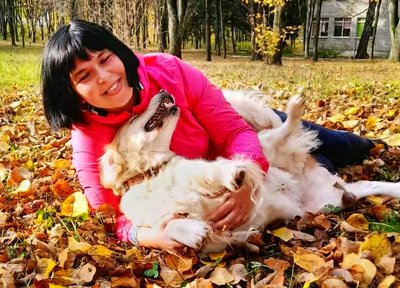Коли слова зайві: історія про те, як у Житомирі собаки допомагають людям під час війни Коли слова зайві: історія про те, як у Житомирі собаки допомагають людям під час війни
