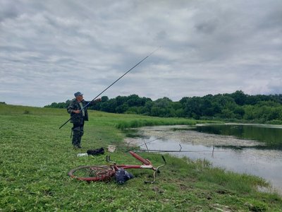 "З Росії текла якась нечисть": мор риби у річці Сейм на Сумщині