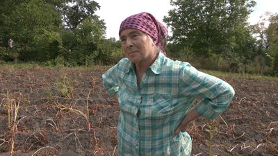 "Тут і риби немає вже": річка Горинь на Рівненщині обміліла нижче історичного мінімуму "Тут і риби немає вже": річка Горинь на Рівненщині обміліла нижче історичного мінімуму