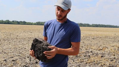 "Зерно на зберігання пересушене": як спека впливає на врожай на Дніпропетровщині "Зерно на зберігання пересушене": як спека впливає на врожай на Дніпропетровщині