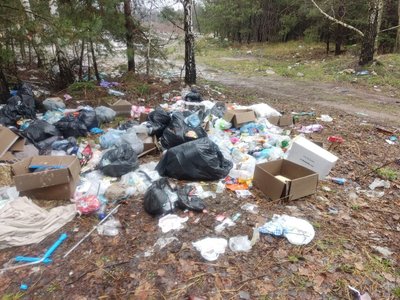 Сміттєзвалище серед лісу на Житомирщині: комісія просить звільнити очільника екоінспекції Сміттєзвалище серед лісу на Житомирщині: комісія просить звільнити очільника екоінспекції