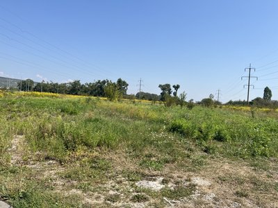 Земельна ділянка на вулиці Червоної Калини у Чернівцях, яку виставляють на аукціон Земельна ділянка на вулиці Червоної Калини у Чернівцях, яку виставляють на аукціон
