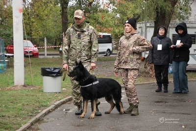 Зібрав 350 учасників: у Дніпрі пройшов міський кінологічний фестиваль "Гав-Гав фест 2024" Зібрав 350 учасників: у Дніпрі пройшов міський кінологічний фестиваль "Гав-Гав фест 2024"