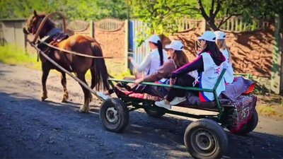 Коні, голосування «на пеньку», Краматорськ в округах: як РФ проводить псевдовибори до Держдуми в окупації Коні, голосування «на пеньку», Краматорськ в округах: як РФ проводить псевдовибори до Держдуми в окупації