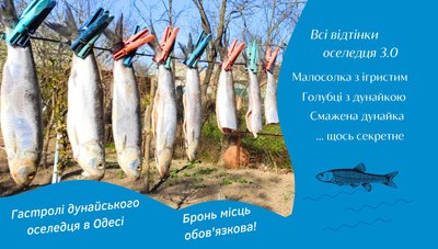 Куди піти 10.04 Куди піти 10.04