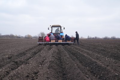 Ранні овочі, теплиці та зростання площ під баштанними: що цьогоріч вирощують херсонські фермери Ранні овочі, теплиці та зростання площ під баштанними: що цьогоріч вирощують херсонські фермери