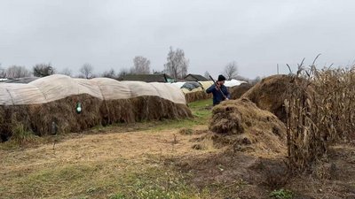 "Воно в мене в крові": історія 23-річного вівчара з Чернігівщини "Воно в мене в крові": історія 23-річного вівчара з Чернігівщини