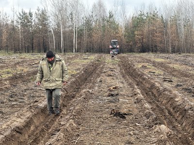 На Полтавщині висаджують нові дерева на місці масштабної лісової пожежі 2024-го На Полтавщині висаджують нові дерева на місці масштабної лісової пожежі 2024-го