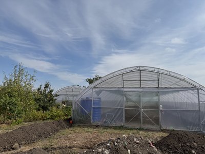 Не заробіток, а спосіб позбутися негативу: після фронту ветеран із Полтавщини зайнявся агробізнесом Не заробіток, а спосіб позбутися негативу: після фронту ветеран із Полтавщини зайнявся агробізнесом