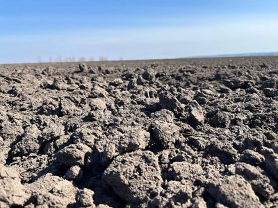 У яких умовах черкаські фермери "заходять" в посівну У яких умовах черкаські фермери "заходять" в посівну