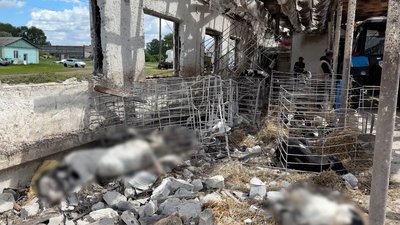 Смертельна атака РФ на Лукнів на Чернігівщині: що розповіли представники пошкоджених сільгосппідприємств Смертельна атака РФ на Лукнів на Чернігівщині: що розповіли представники пошкоджених сільгосппідприємств