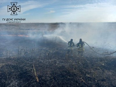 В Одеській області сталася пожежа у заповіднику В Одеській області сталася пожежа у заповіднику