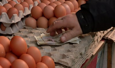 "Прямо золоті": скільки коштують яйця в Черкасах і що кажуть про ціни покупці "Прямо золоті": скільки коштують яйця в Черкасах і що кажуть про ціни покупці