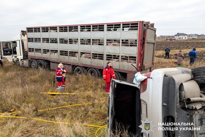 Зіткнувся з вантажівкою з тваринами: загинув водій автомобіля на Рівненщині Зіткнувся з вантажівкою з тваринами: загинув водій автомобіля на Рівненщині