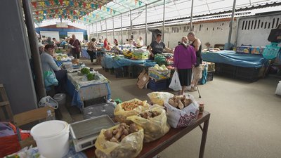 Збирають для себе і на продаж: на Вінниччині триває сезон дикорослих грибів Збирають для себе і на продаж: на Вінниччині триває сезон дикорослих грибів