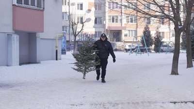 У Вінниці триває сезон утилізації новорічних дерев У Вінниці триває сезон утилізації новорічних дерев