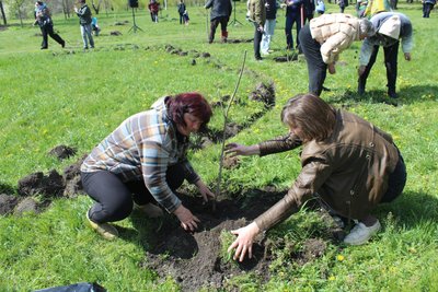 На Полтавщині висадили дерева пам’яті у межах акції "1 мільйон дерев життя"