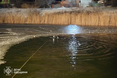 На Одещині троє дітей провалилися під лід: їх шукають водолази На Одещині троє дітей провалилися під лід: їх шукають водолази
