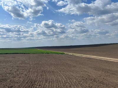 У медалі дві сторони: що думають аграрії Черкащини про ринок землі У медалі дві сторони: що думають аграрії Черкащини про ринок землі