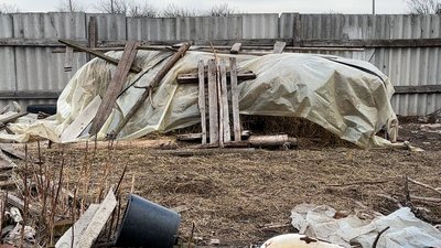 Карпівка сіно Донецька область 29 січня 2025 рік Карпівка сіно Донецька область 29 січня 2025 рік