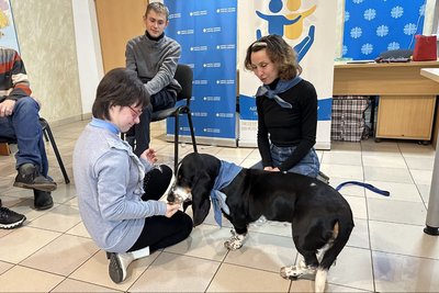 Зцілення за допомогою собак. Як херсонка в Одесі стала грумеркою та каністерапевткою Зцілення за допомогою собак. Як херсонка в Одесі стала грумеркою та каністерапевткою
