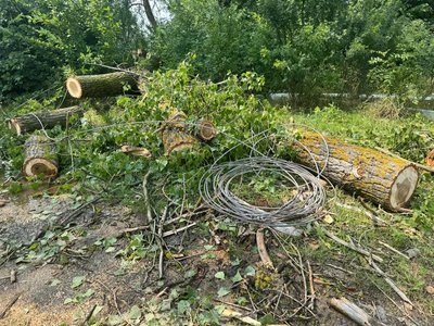 На Вінниччині через негоду знеструмлено 119 населених пунктів На Вінниччині через негоду знеструмлено 119 населених пунктів