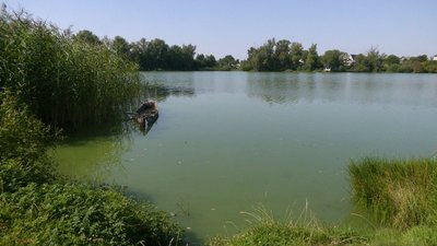 У Борзні на Чернігівщині місцеві забруднили річку нечистотами У Борзні на Чернігівщині місцеві забруднили річку нечистотами