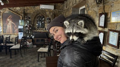фотодобірка фотодобірка