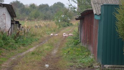 “Коли у кіно показували вибухи, я виходила з кімнати": репортаж із прикордонного Гірська на Чернігівщині “Коли у кіно показували вибухи, я виходила з кімнати": репортаж із прикордонного Гірська на Чернігівщині