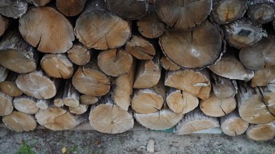 “Вартість газу і дров різниться”: яка ціна дров на Сумщині “Вартість газу і дров різниться”: яка ціна дров на Сумщині