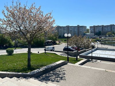 В Умані на Черкащині розквітли сакури: як виглядає набережна навесні і що кажуть відпочивальники В Умані на Черкащині розквітли сакури: як виглядає набережна навесні і що кажуть відпочивальники