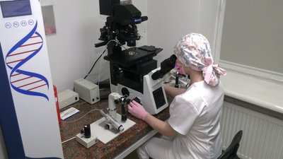 Шанс на батьківство: як безоплатно лікують безпліддя у Рівному Шанс на батьківство: як безоплатно лікують безпліддя у Рівному