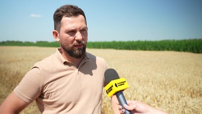 "Понад 100 сортів агрокультур": як на Сумщині організували День поля "Понад 100 сортів агрокультур": як на Сумщині організували День поля