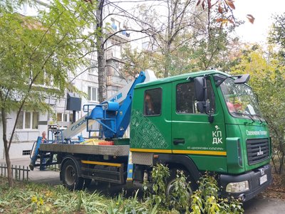 У Полтаві, аби уникнути нещасних випадків, пришвидшили спилювання аварійних дерев У Полтаві, аби уникнути нещасних випадків, пришвидшили спилювання аварійних дерев