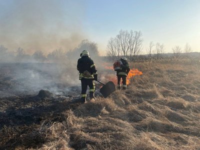 Пожежа в екосистемі у Харківському районі Пожежа в екосистемі у Харківському районі