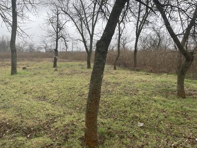 Бої у Бузковому сквері і на Білозерській площі: невідома історія оборони Херсона Бої у Бузковому сквері і на Білозерській площі: невідома історія оборони Херсона