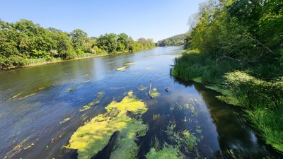 Сіверський Донець на території Зміївської громади Харківщини