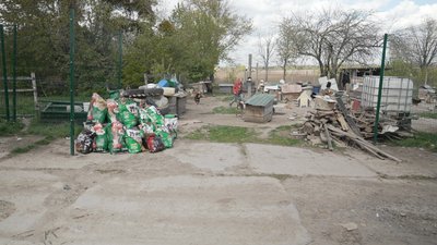 Притулок для собак Притулок для собак