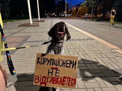 "Рада завтра на роботу". Дніпро мітингує проти закону щодо НАБУ та САП: день третій "Рада завтра на роботу". Дніпро мітингує проти закону щодо НАБУ та САП: день третій