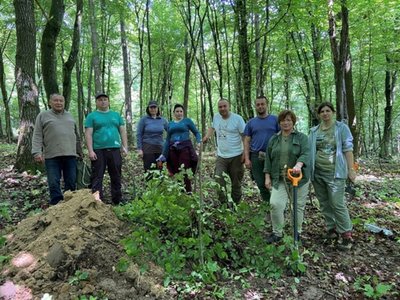 науковці, ліс, Кременецькі гори науковці, ліс, Кременецькі гори