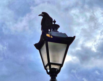 Осінь у відремонтованому сквері “Мистецькі ворота” Житомира: фоторепортаж Осінь у відремонтованому сквері “Мистецькі ворота” Житомира: фоторепортаж